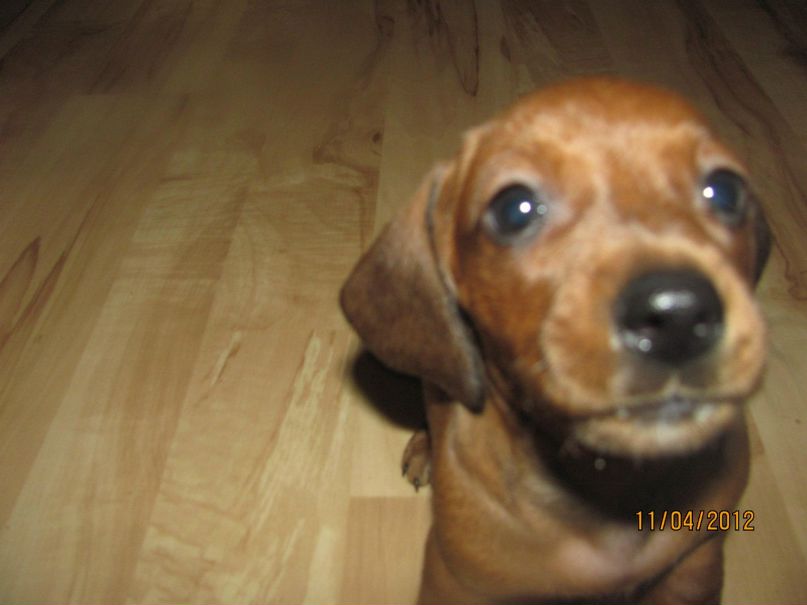 Вася Тюрин | Санкт-Петербург