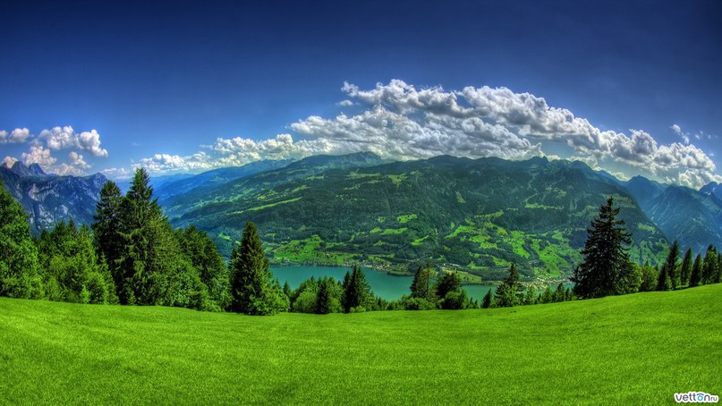 Станислав Токарев ⎝๖ۣۜAрхăнгęл ŦОК-47๖ۣۜ۩⎠ | Пенза