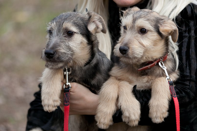 Татьяна Кривенко | Киев