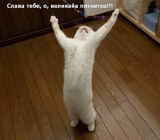 Екатерина Салакаева | Москва