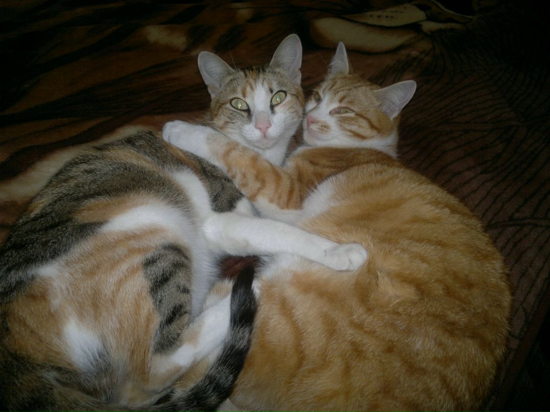 Влад Кизяков | Новосибирск