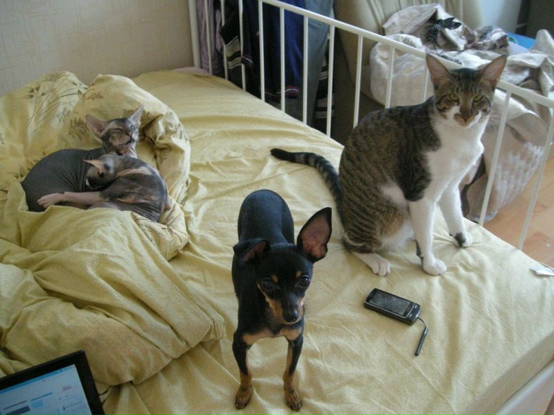 Кристина Малова <==КоIIIaK==> | Москва