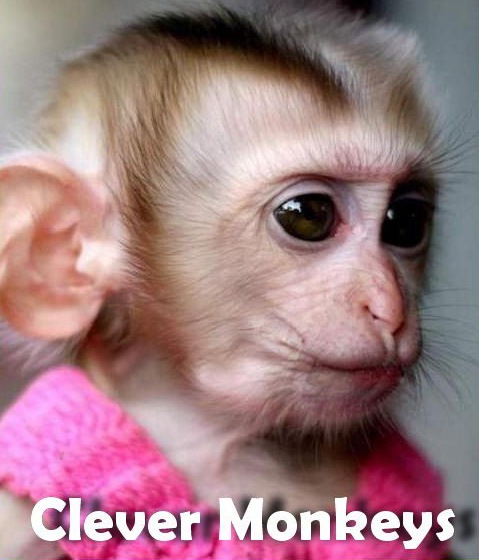 №67, Tasha Naloiko, Ростов-на-Дону №67, Tasha Naloiko, Ростов-на-Дону