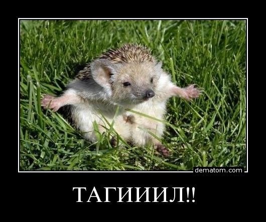 №80, Pavel Ryzhkov №80, Pavel Ryzhkov