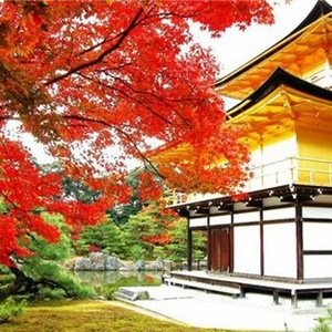 №4, Марина Сунцова, 20.12 №4, Марина Сунцова, 20.12