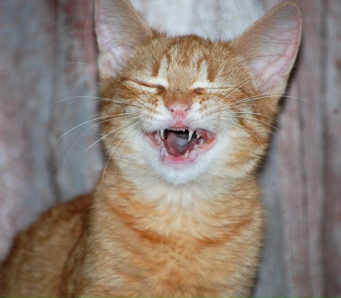 №1, Наталия Марченко №1, Наталия Марченко