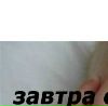 №14 Анна Цыпа 12.04: профиль, фото, статус - ВКонтакте