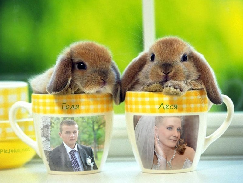 Леся Михайлюк | Киев