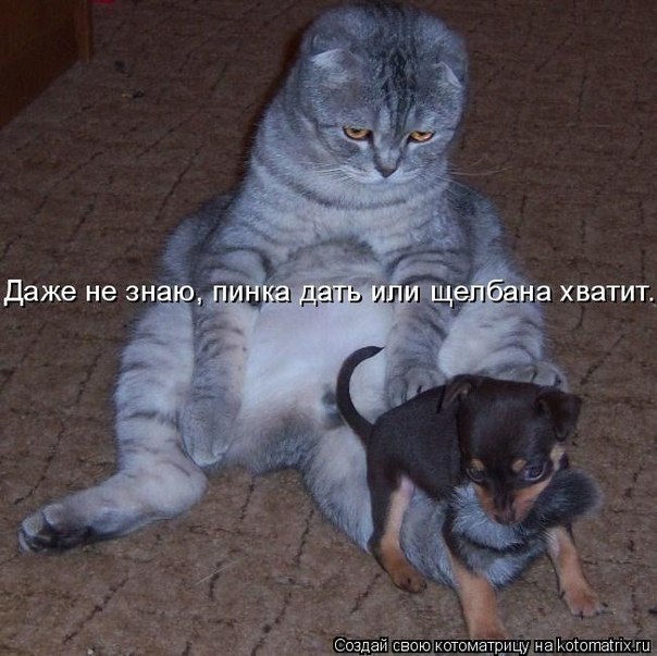 №115, Настя Хальзова, Смоленск №115, Настя Хальзова, Смоленск