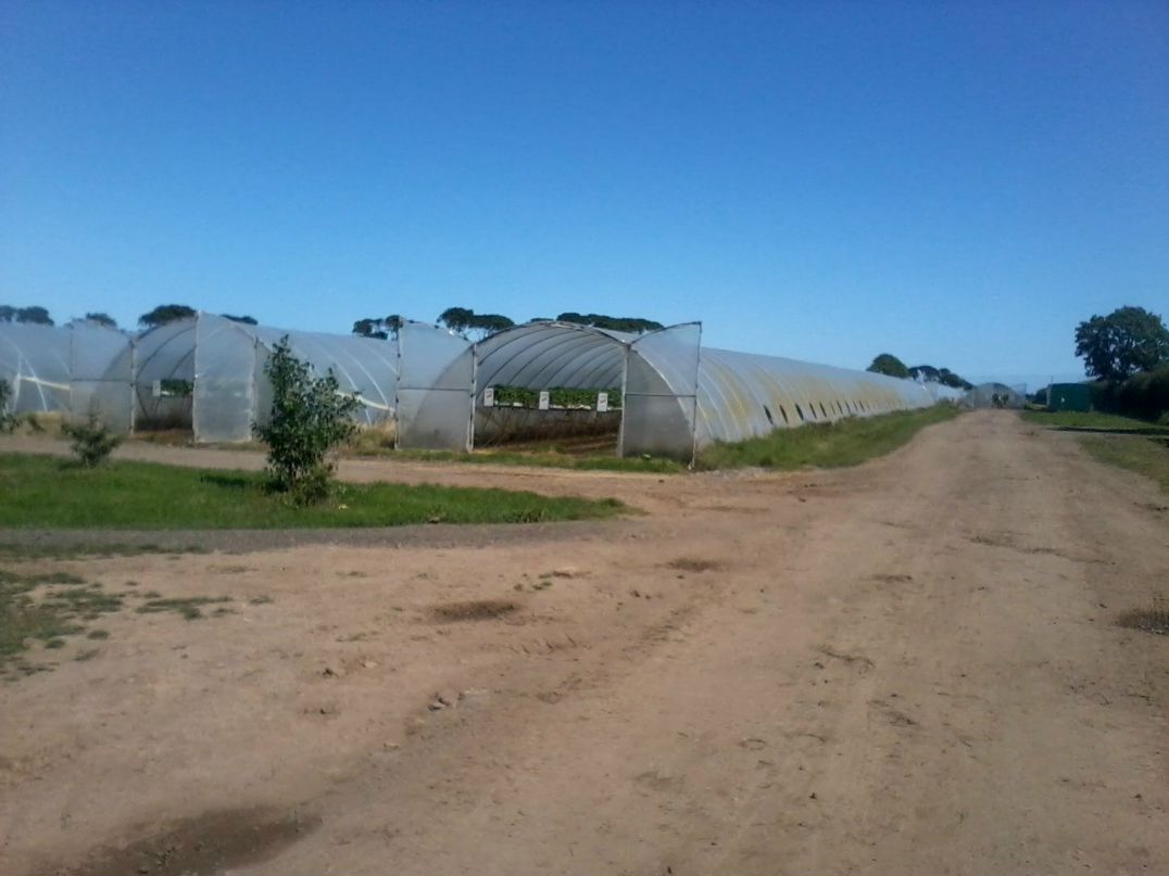 Руслан Димитриев | Даугавпилс