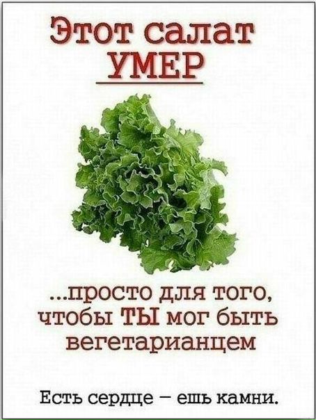 №70, Семен Пименов, Волгоград, Россия №70, Семен Пименов, Волгоград, Россия