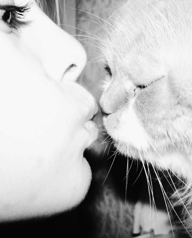 Елизавета Шерстнёва ♫♫♫ | 