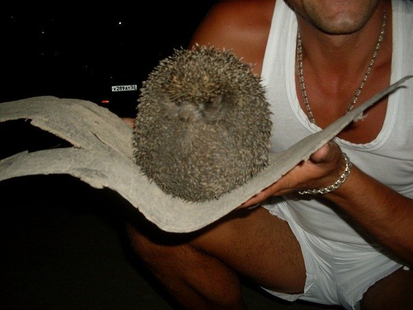 Денис Красвитний | Инта