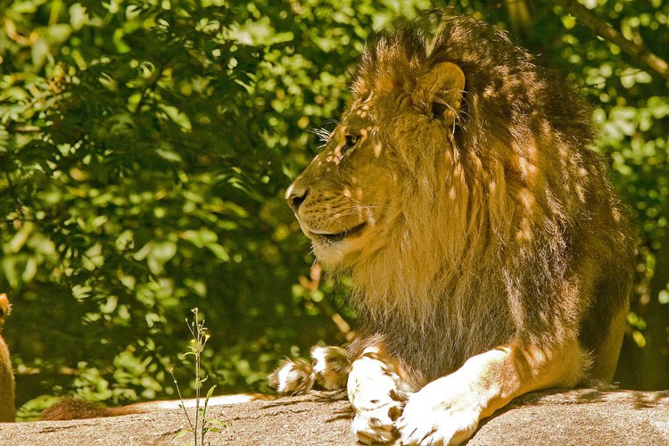 Николай Федин | Москва