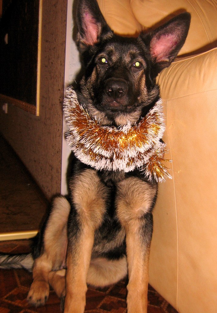 Екатерина Ищенко | Харьков