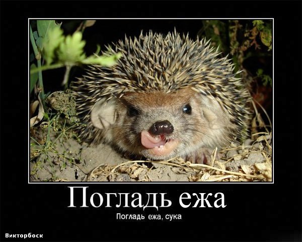 Ксю Орлова | Москва