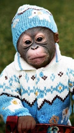 Валентин Гусляров | Москва