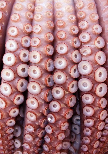 Гаврила Колоскер | Москва