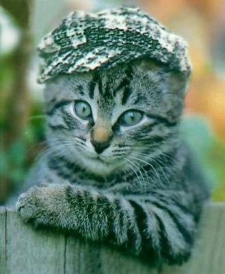 №64, Егор Якушев, Санкт-Петербург №64, Егор Якушев, Санкт-Петербург