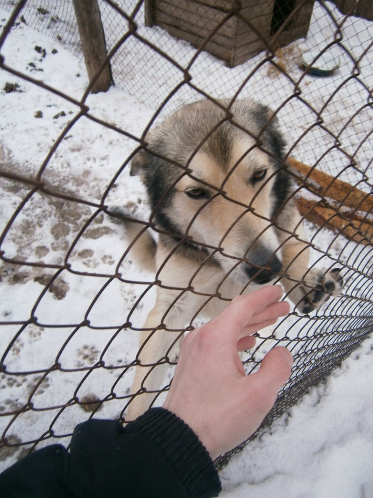 Олександр Брижко | Киев