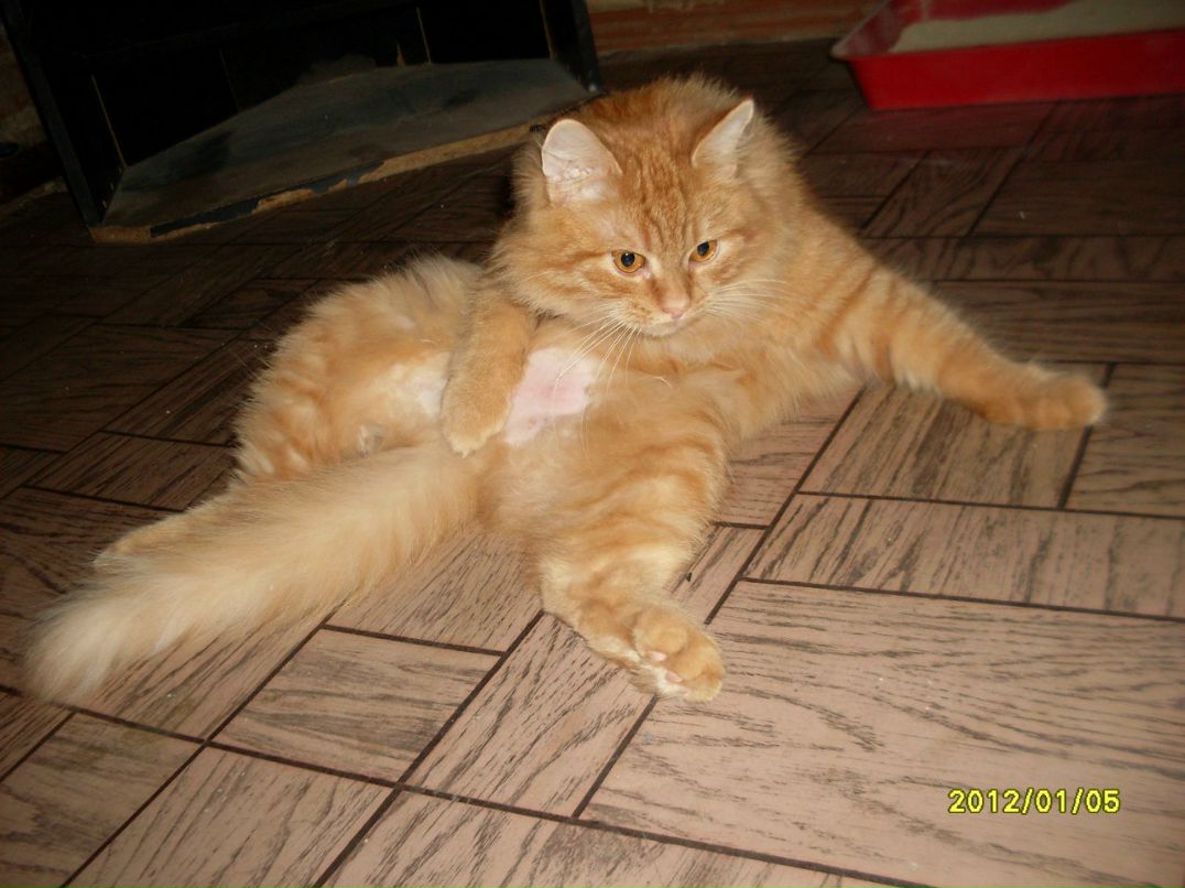 Екатерина Шарипова | Сочи