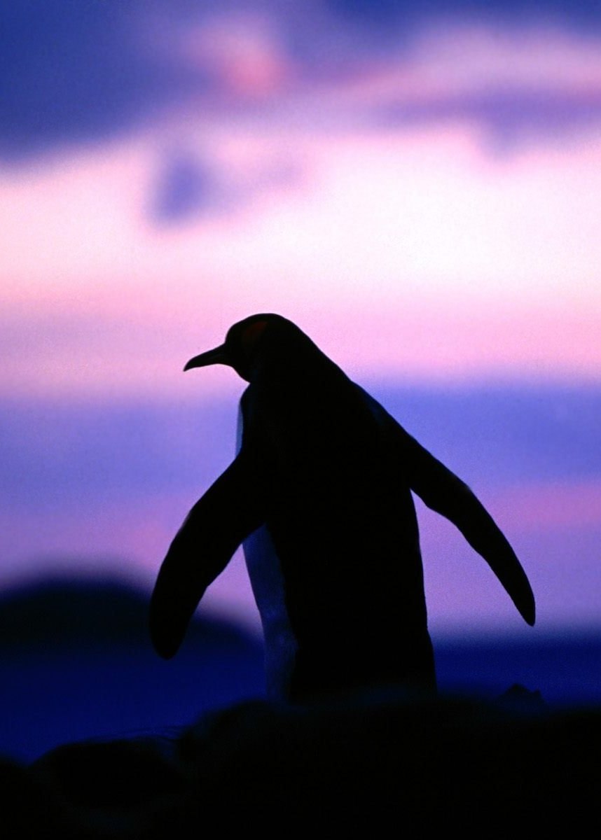 Жангир Бейбарысов | Алматы