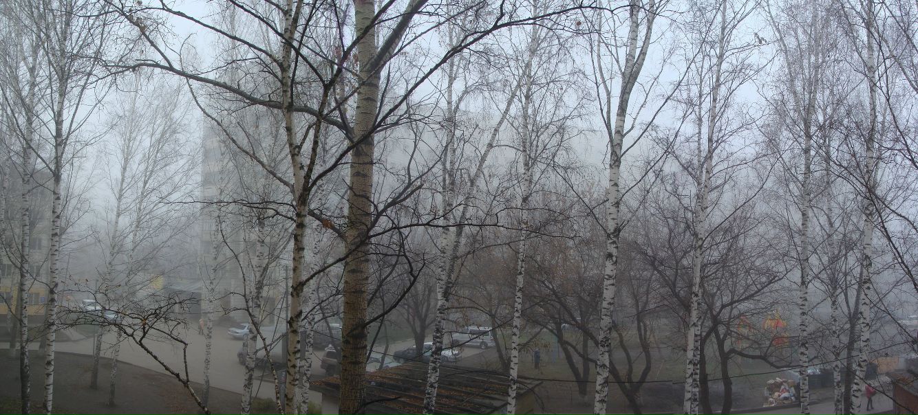 №11, Андрей Воробьев, Новосибирск №11, Андрей Воробьев, Новосибирск