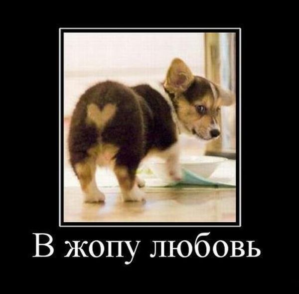 Павел Гутенев | Чехов