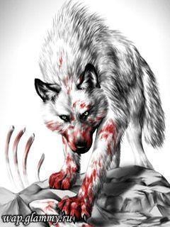 Володимир Дзюник | Ужгород