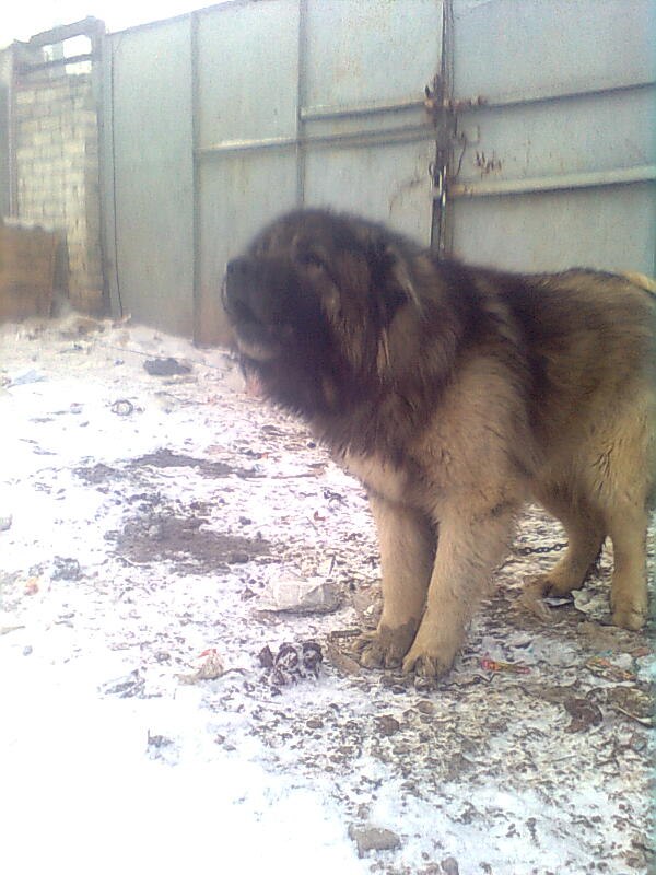 Юрик Жучков | Куйбышев