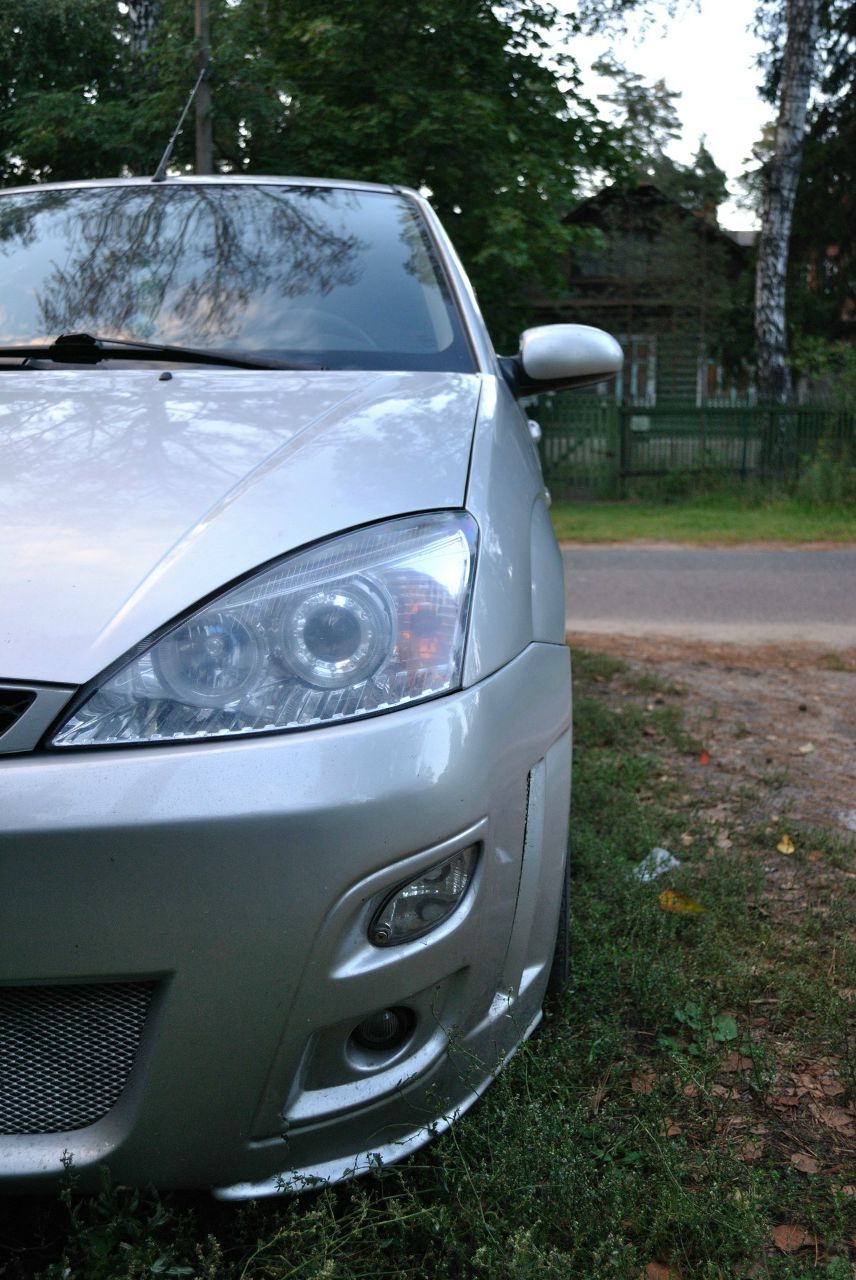 Дмитрий Петров | Раменское