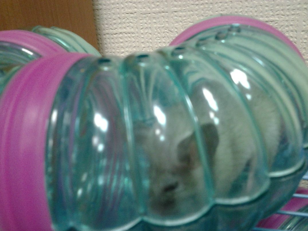 Ольга Сирант | Волжский