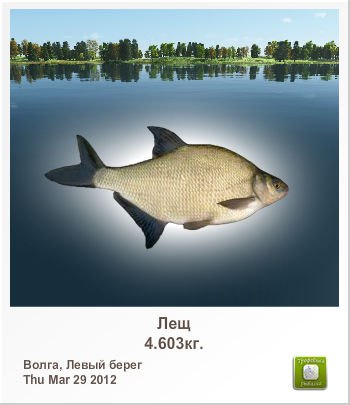 Вадим Лобачев | Раменское