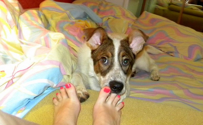 Елена Гаврилова | Санкт-Петербург