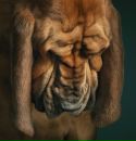 Фотография Александр Рожецкин