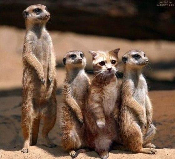 Маргарита Барвінська | Киев