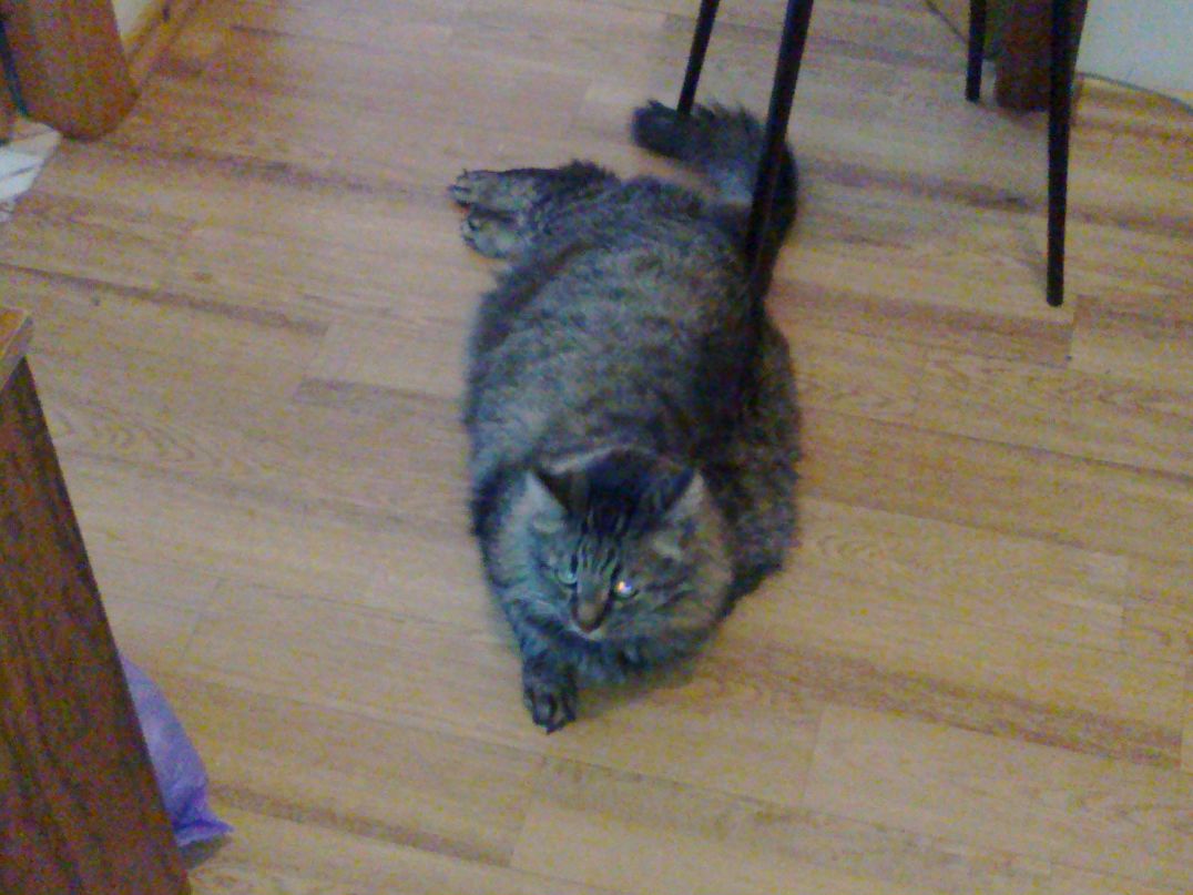 Юлия Лариончева | Тольятти