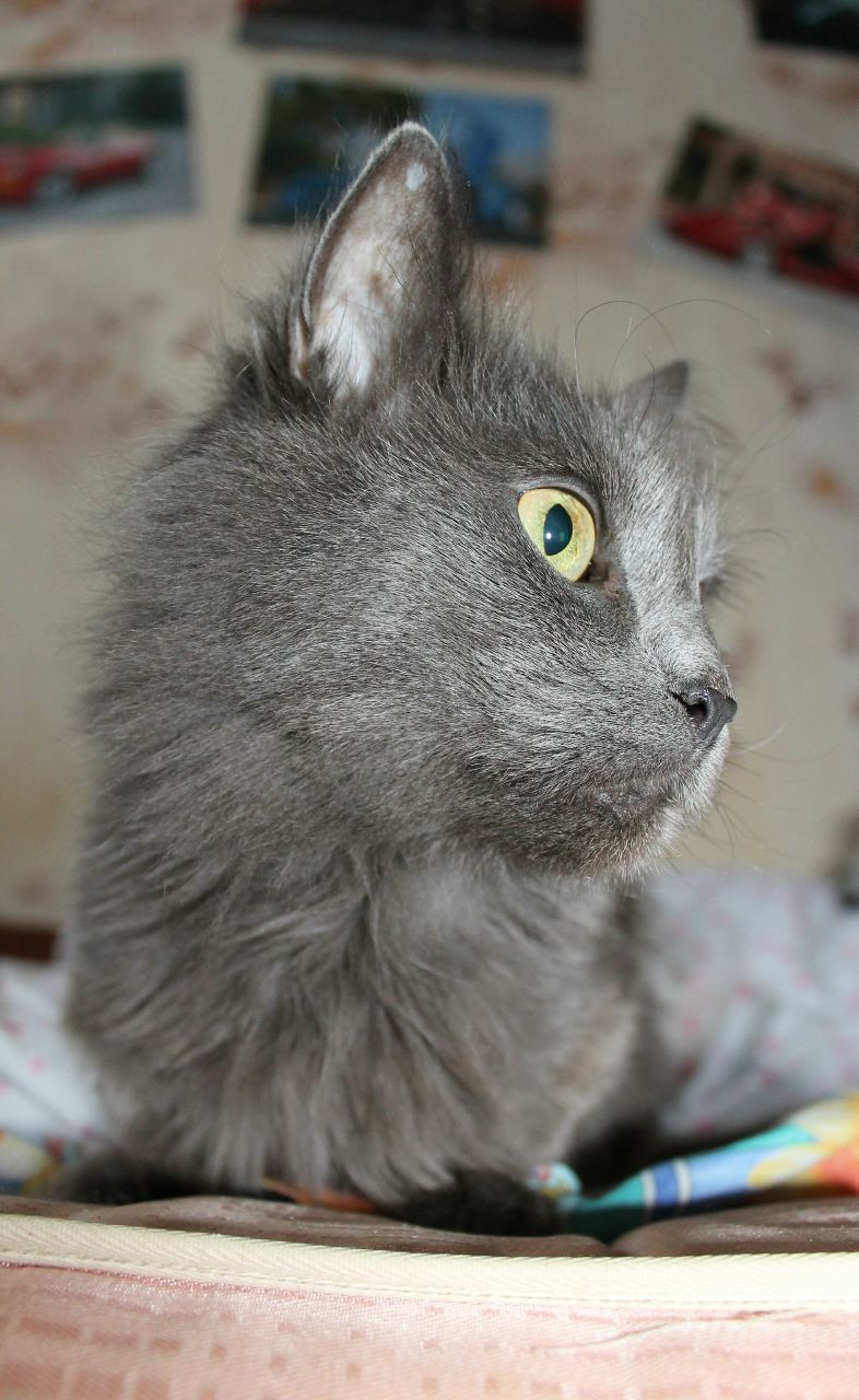 Мария Василькова | Смоленск