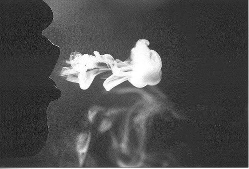 Антон Приешкин Владимирович | Пруды