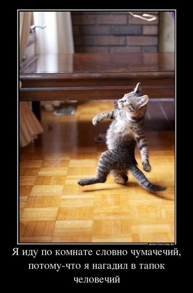 Николай Кондрацкий $TIGR$ | Сургут