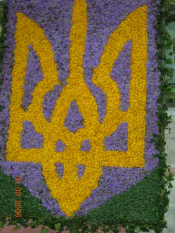 №138, Виктор Кударь, 34 года, Одесса №138, Виктор Кударь, 34 года, Одесса