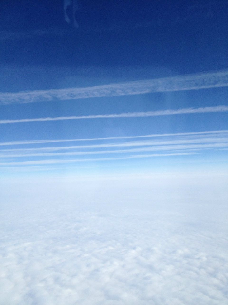 Виктория Кузнецова | Воронеж