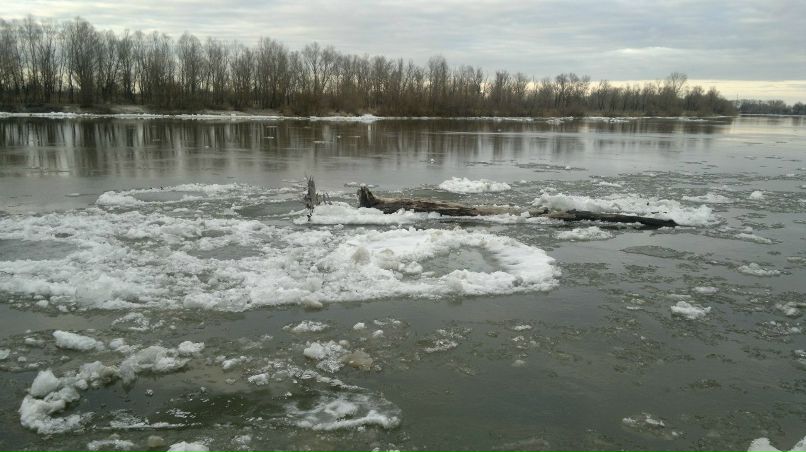 Андрей Поролло | Бровары