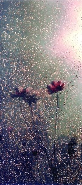 №6, Женя Аверьянова №6, Женя Аверьянова