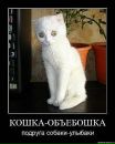 №26 Илья Родькин 01.04.1986: профиль, фото, статус - ВКонтакте