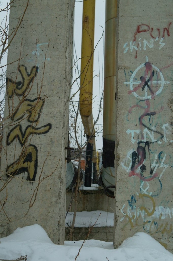 Надежда Чупрынина | Ижевск