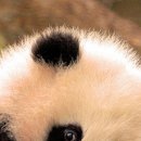 №82, Алина Деревянко, Харьков №82, Алина Деревянко, Харьков