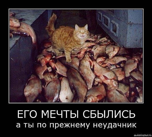 №32, Миша Ручий, 27 лет, Макеевка №32, Миша Ручий, 27 лет, Макеевка