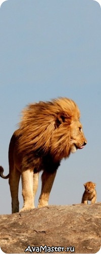 №27, Женя Емельянов №27, Женя Емельянов