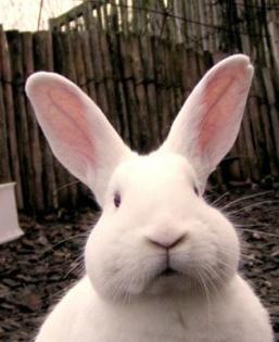 №130, Владимир Сальников, 27 лет, Москва №130, Владимир Сальников, 27 лет, Москва